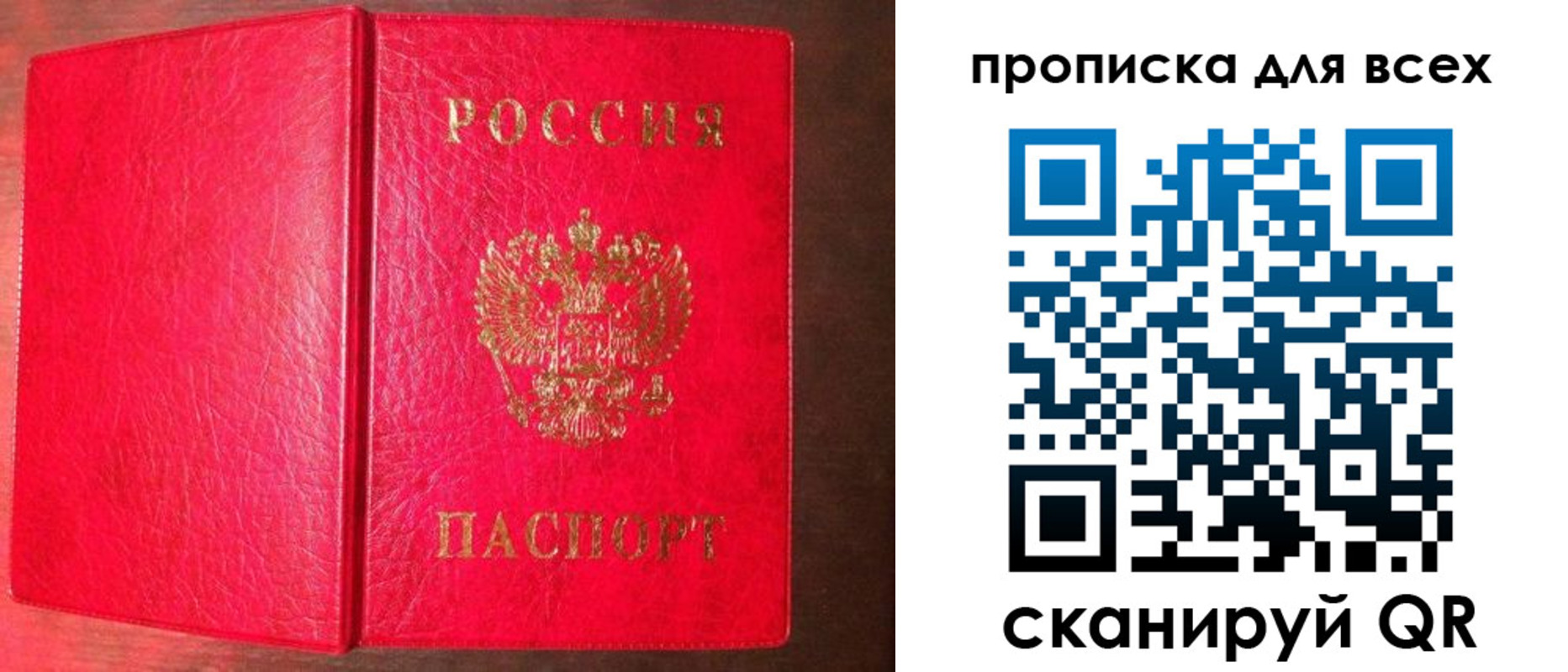 прописка гарантия в Иваново